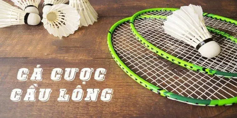 Cách Chơi Cá Cược Cầu Lông 98Win Hiệu Quả Đỉnh Cao Dành Cho Tân Thủ