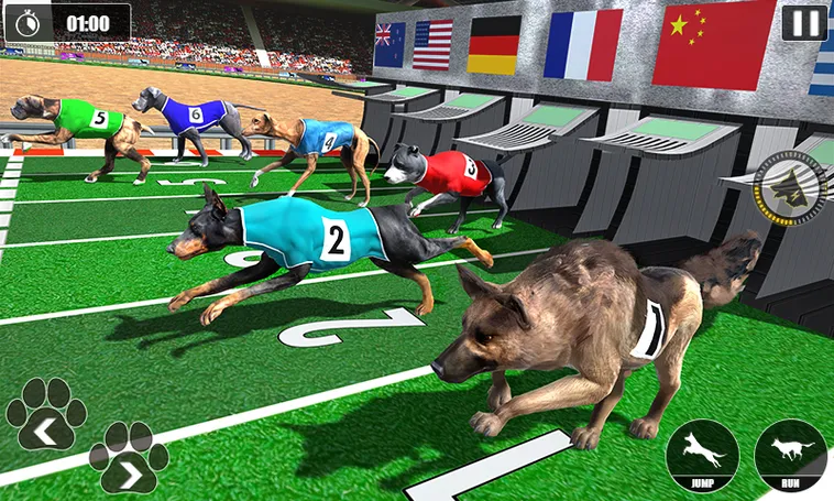 Bí Quyết Thắng Lớn Cách Chơi Game Nhanh Đua Chó Tại 98Win Kịch Tính