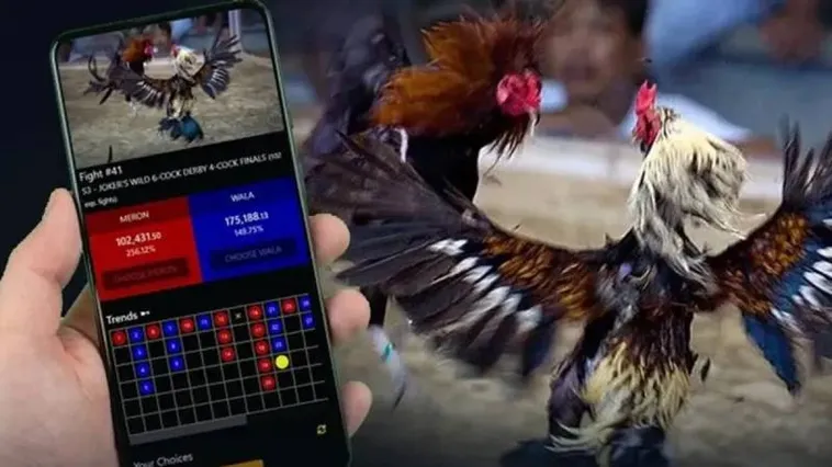 Khám Phá Đá Gà 98Win Thắng Lớn Với Tỷ Lệ Cược Hấp Dẫn Nhất
