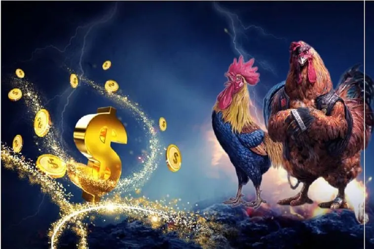 Hướng Dẫn Cách Chơi Đá Gà WS168 Tại 98Win Thắng Lớn Nhanh Chóng