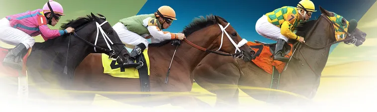 Khám Phá Cá Cược Đua Ngựa 98Win Hấp Dẫn Tuyệt Đối Không Thể Bỏ Qua