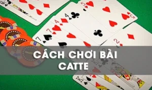 Bí Kíp Thành Thạo Cách Chơi Sắc Tê 98Win Dành Cho Tân Thủ