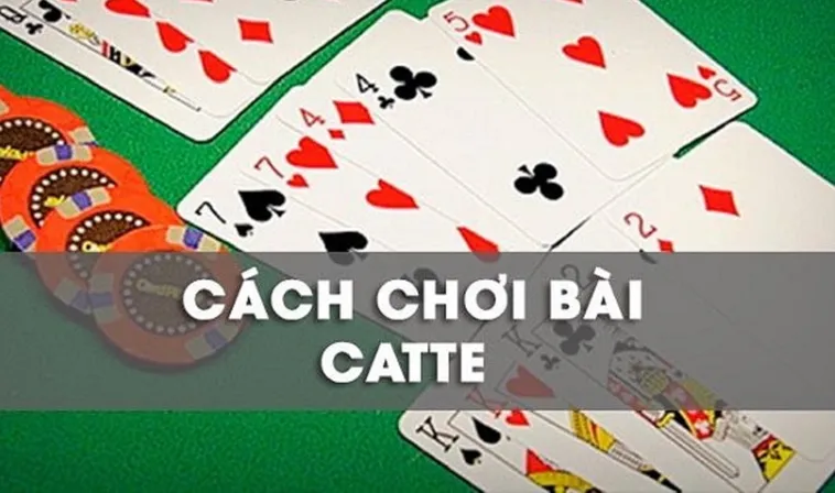Bí Kíp Thành Thạo Cách Chơi Sắc Tê 98Win Dành Cho Tân Thủ