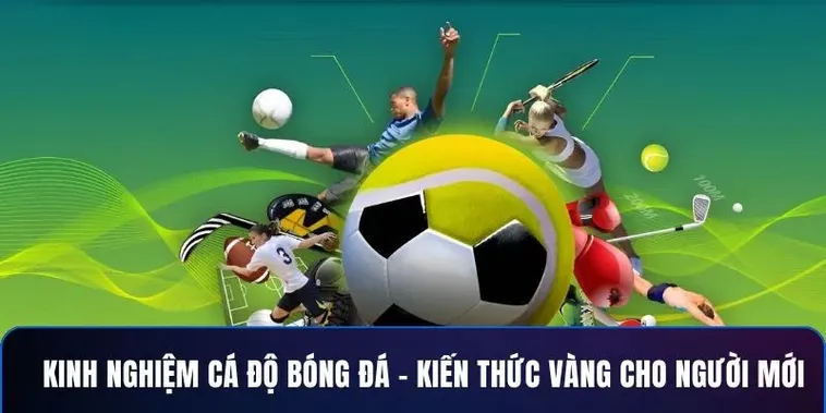 Cá Cược Bóng Đá 98Win Chinh Phục Đỉnh Cao Thắng Lợi 2025